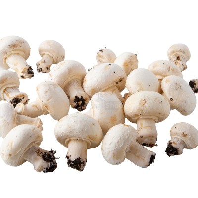 Шампиньоны свежие 500 г - купить в Мари-Отарах